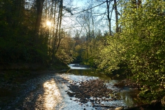 fvmt_fischerei_verein_bilder_25