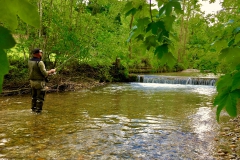 fvmt_fischerei_verein_bilder_31