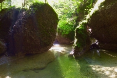 fvmt_fischerei_verein_bilder_35